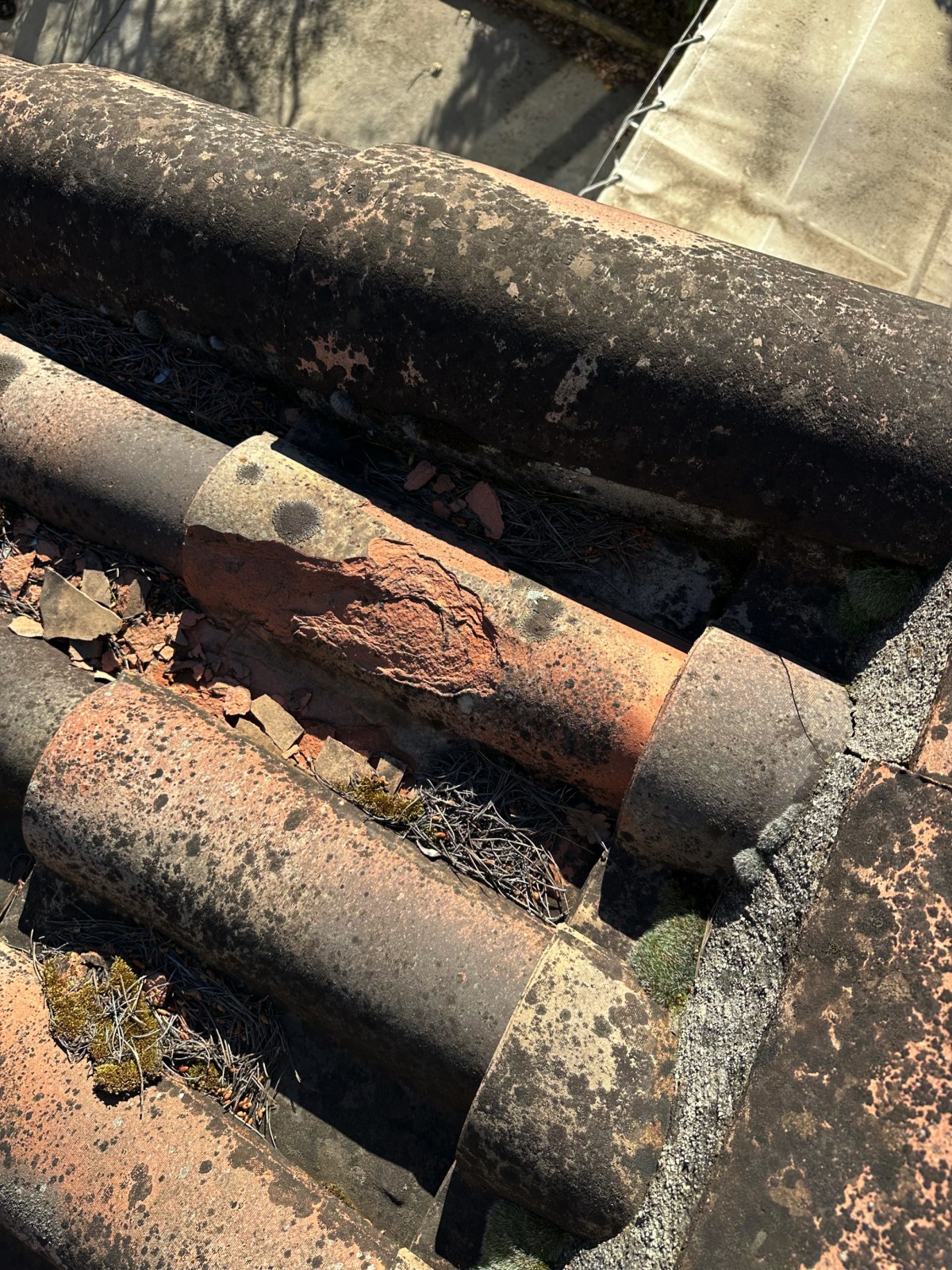 renovation toiture artisan couvreur draguignan