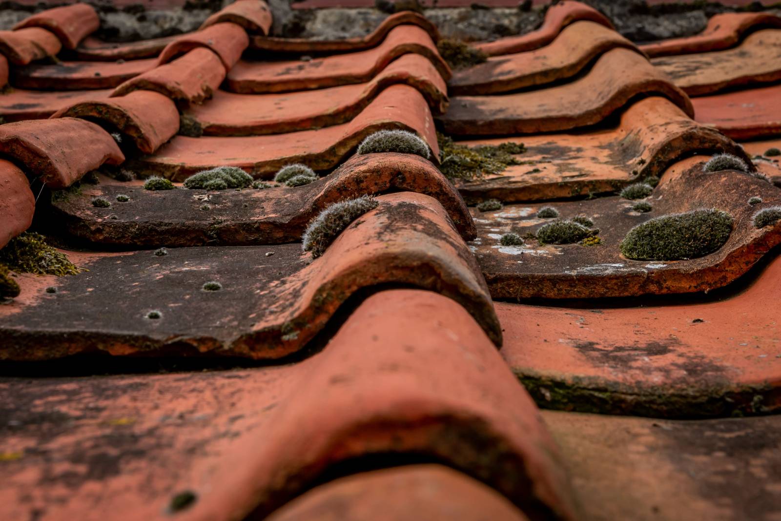 Entreprise de démoussage de toiture avec une intervention tous les ans à Draguignan