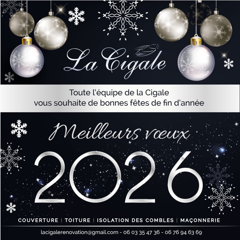 Meilleurs vœux pour 2026 !!!